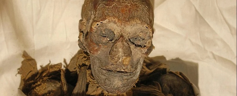 Распаковать, измельчить, съесть - европейская история мумий