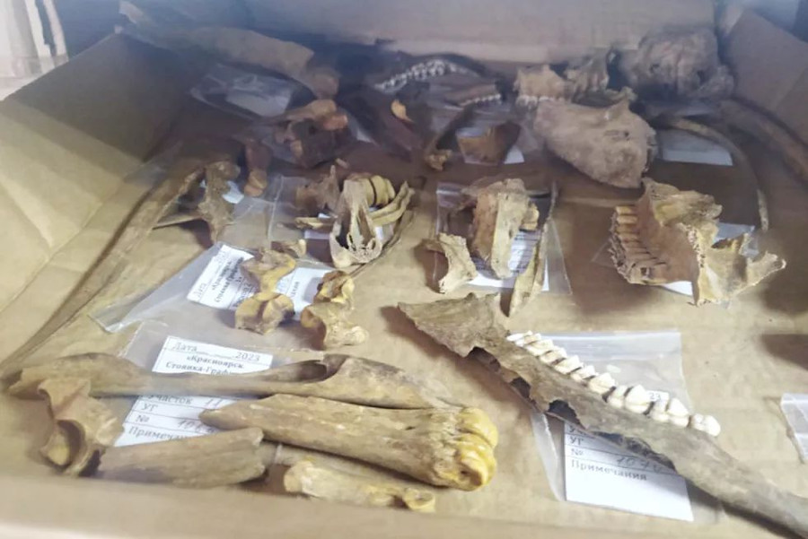 В Красноярске на стройплощадке обнаружили древние орудия труда и кости