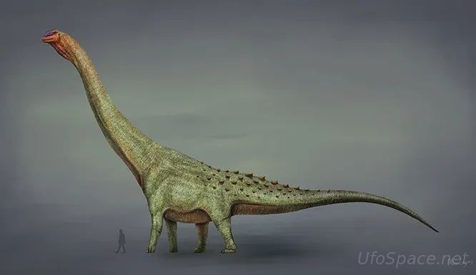 ак выглядели титанозавры – самые крупные из когда-либо существовавших