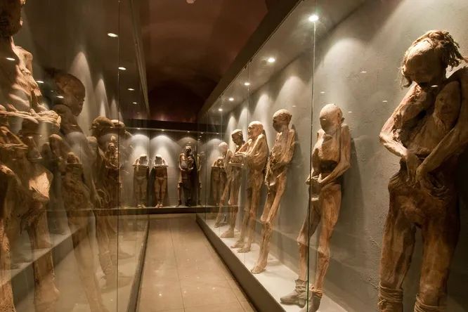 На мумиях в музее в Мексике обнаружены «грибковые наросты»