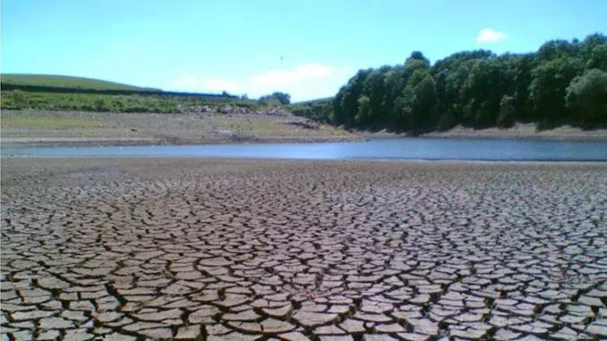 ООН и ВЭФ приказали правительствам начать нормировать подачу воды