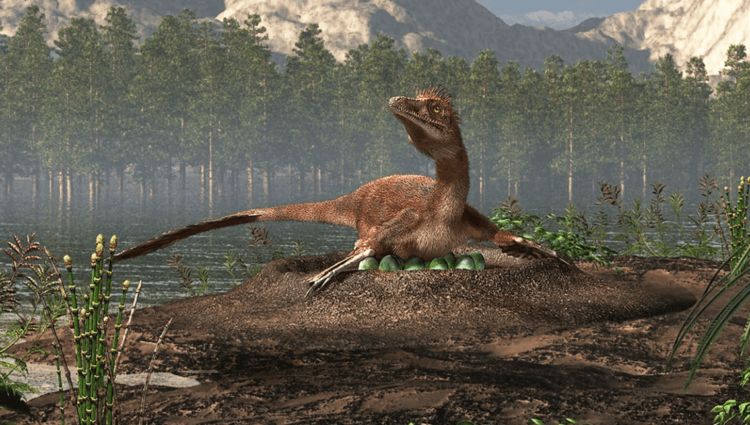Некоторые динозавры 74 миллиона лет назад высиживали яйца как птицы