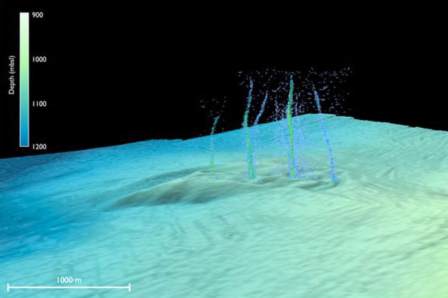В Тихом океане обнаружили подводный «оазис» из теплой жидкости, текуще
