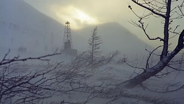 Ученые спрогнозировали исчезновение тундры на Южном Урале