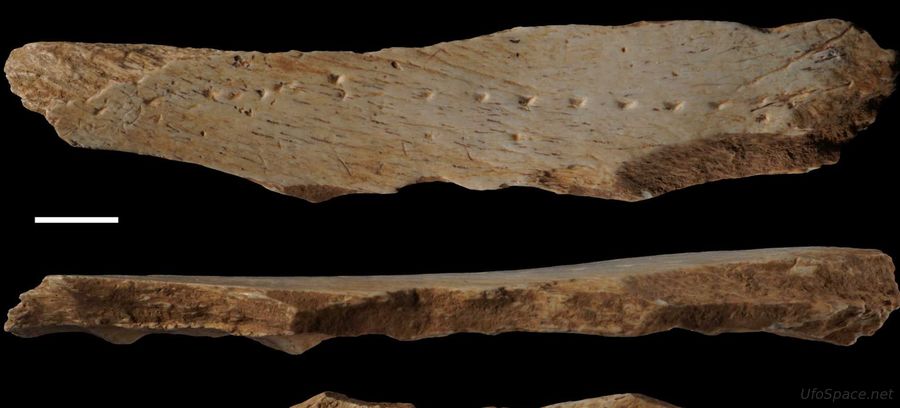 Фрагмент кости крупного млекопитающего со стоянки кроманьонцев