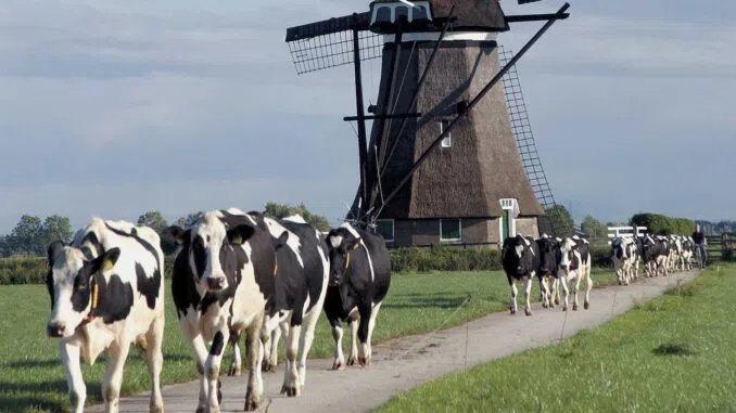 Правительство Нидерландов запустило "Великую перезагрузку" с помощью