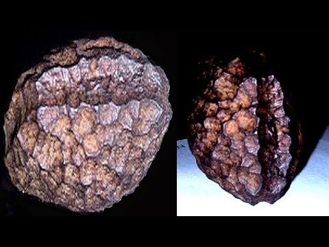 Загадочный артефакт возрастом 60 миллионов лет