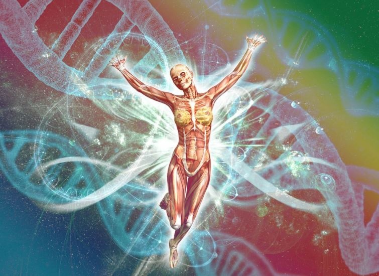 Прорыв в генетике: ДНК - телепатический связующий звено между людьми?