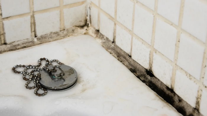 Как убрать плесень с герметика в ванной: рабочие лайфхаки