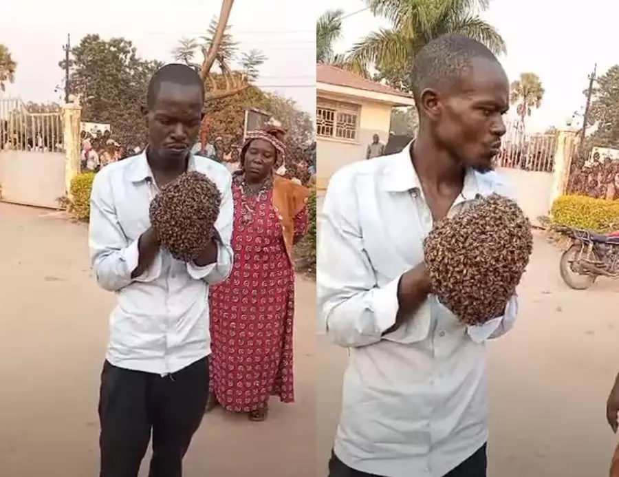 Африканский колдун заковал вора в наручники с помощью пчел в Уганде