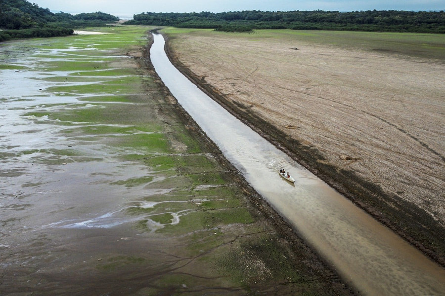 Эксперты назвали главную причину рекордной засухи в Амазонии