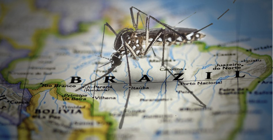 ГМО-комары Билла Гейтса вызвали 400% рост лихорадки денге в Бразилии