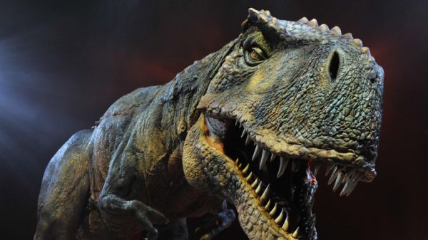 Следы невидимых зверей: могли ли люди и динозавры жить вместе