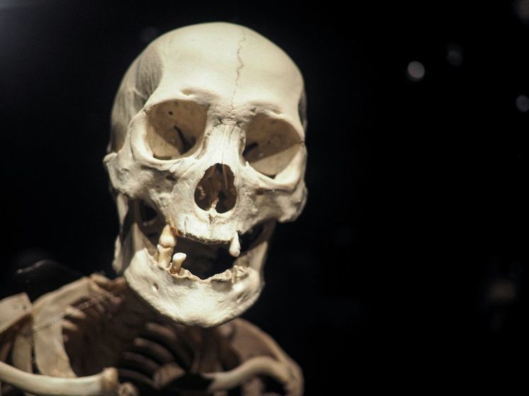 Устранен пробел в истории человечества длиной 20 тысяч лет: неожиданные выводы