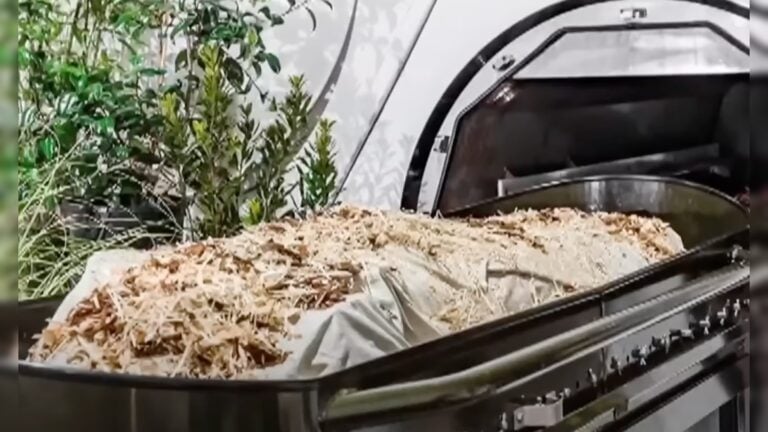 Губернатор Аризоны Кэти Хоббс легализует компостирование человека как экологичную альтернативу погребению и кремации
