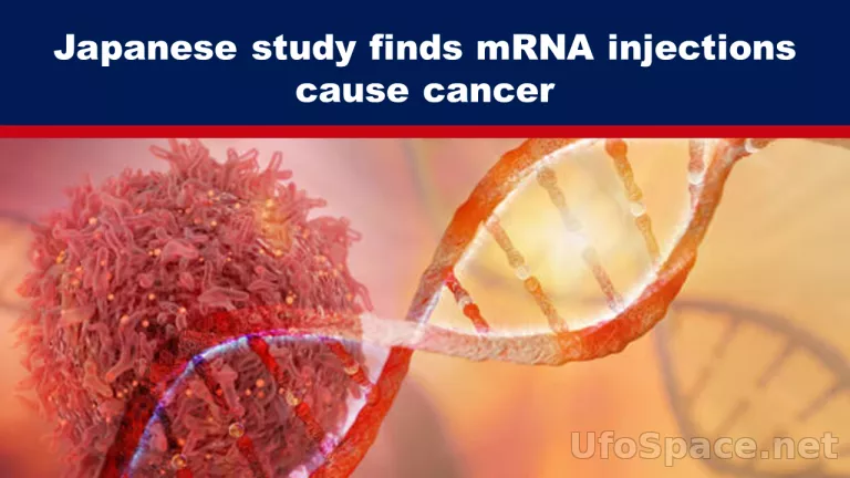 Японское исследование показало, что инъекции мРНК вызывают рак (СМИ затемнение)