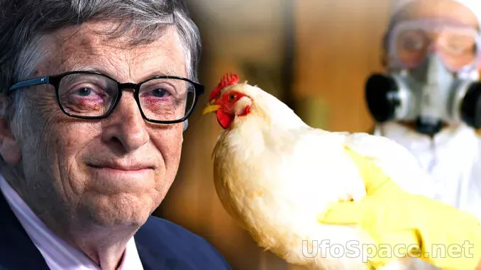 Инсайдер Гейтса признался, что элита планирует уничтожить миллиарды людей с помощью в#кцины от птичьего гриппа