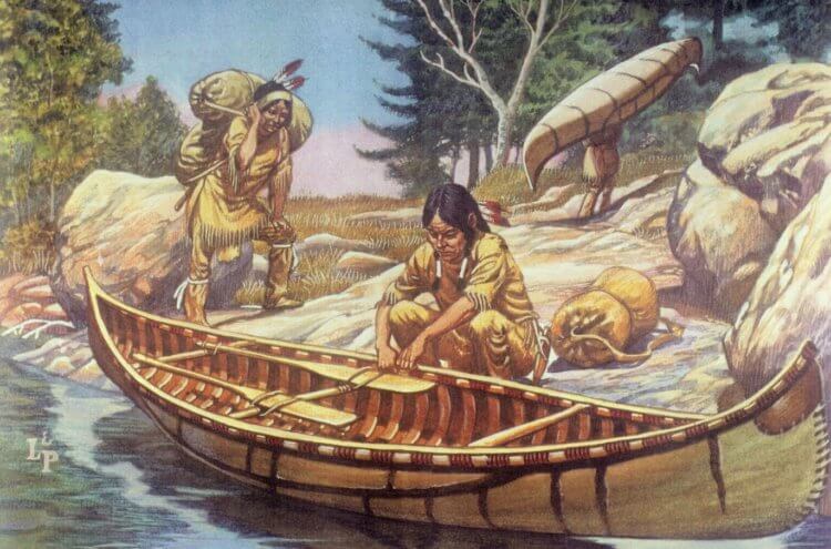 Возможно, шипы растения использовались индейцами для рыбалки.