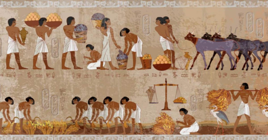 6 удивительных фактов о жизни египетских рабов