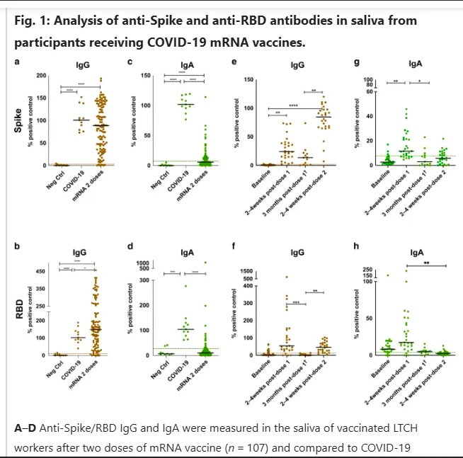 Как мРНК-вакцины CV19 влияют на уровень IgA-антител?