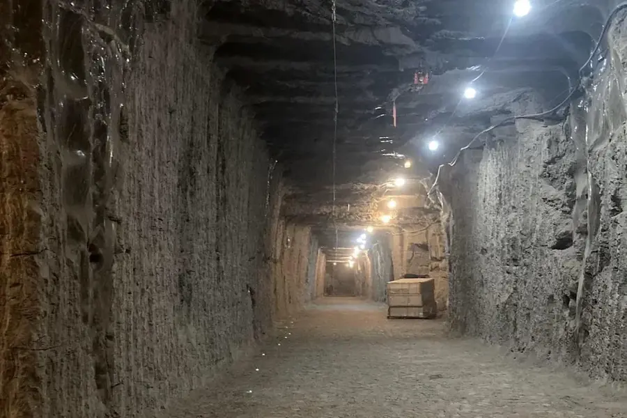 Ожившие микроорганизмы из вечной мерзлоты: прорыв в науке Ожившие микроорганизмы из вечной мерзлоты: прорыв в науке