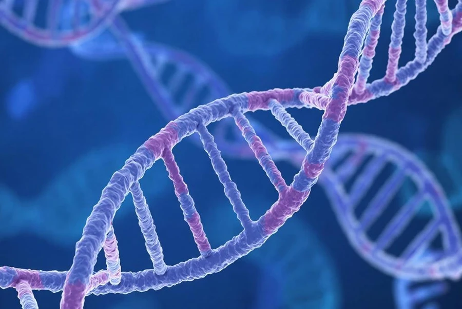 Эволюция человека продолжается: доказательства 2025 года