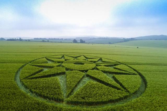 В английском графстве Уилтшир на пшеничном поле обнаружен новый круг
