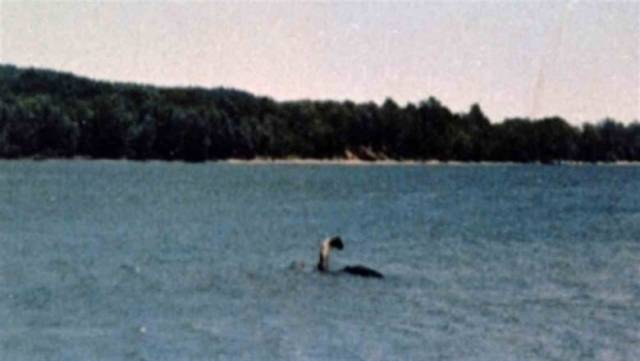 Знаменитое фото Мэнси самый качественный снимок монстра озера Шамплейн