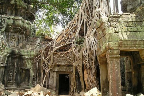 В джунглях Камбоджи прячется очень много затерянных городов.