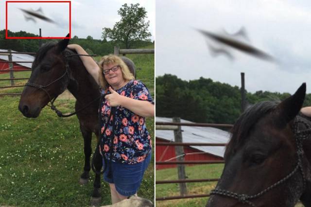 На ферме в Нью-Джерси НЛО случайно попал в кадр