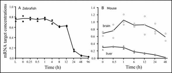 Активность генов после смерти в рыбах (слева) и мышах (справа)
