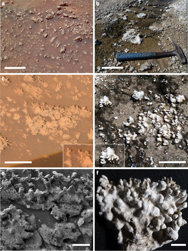 Сравнение структуры опаловидного кремнезема, обнаруженного на Марсе
