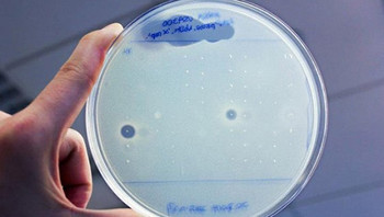 Внутри организма человека найден новый сверхмощный антибиотик