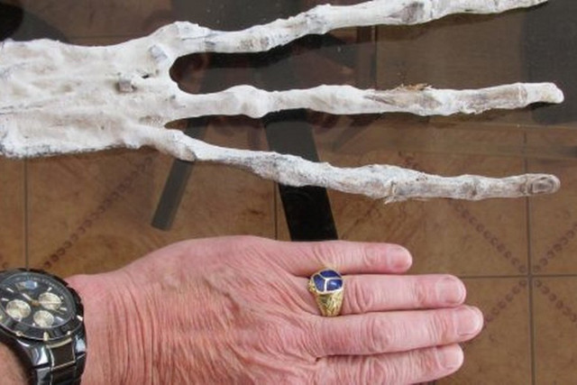 В Перу обнаружена странная рука с тремя длинными пальцами