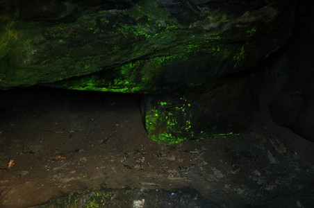 В небольшой пещере можно обнаружить удивительный светящийся мох