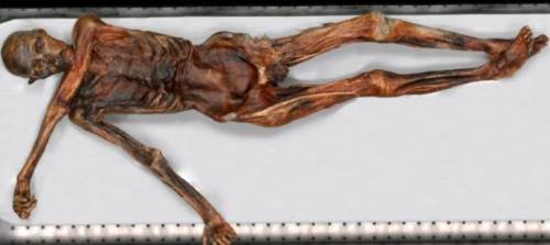 На мумии "Отци" найдены странные  татуировки